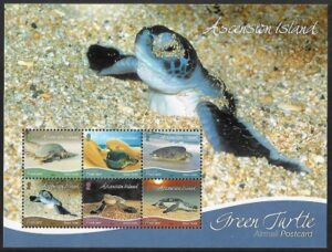 2015 Ascension Island MS1220 Green Turtles Mini Sheet U/M (MNH)