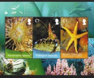 2013 Ascension Island MS1186 Shallow Marine Surveys Group Mini Sheet U/M (MNH)