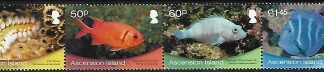 2013 Ascension Island SG1182a-5a Shallow Marine Surveys Group without White Border Set 4 Values U/M (MNH)