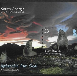 2018 South Georgia - MS713 Antarctic Fur Seal U/M (MNH)