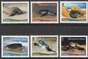 2019 Ascension Island. SG.1309-14 Fauna Turtles. 2019 underprint set 6 values U/M (MNH)
