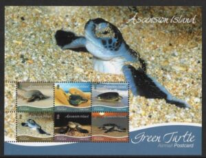 2019 Ascension Island. MS.1315 Fauna Turtles. 2019 underprint. mini sheet. U/M (MNH)