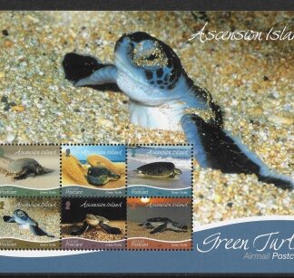 2019  Ascension Island.  MS.1315  Fauna Turtles.   2019 underprint.  mini sheet. U/M (MNH)