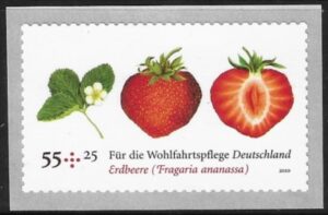 2010 Germany. SG.3636 Stawberry. ex coil U/M (MNH)