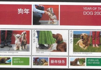 2006  Ireland.   MS.1769  Chinese New Year of The Dog. mini sheet U/M (MNH)