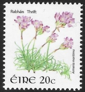 2008 Ireland SG.1673  20c Thrift   U/M (MNH)