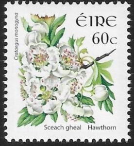 2004 Ireland SG.1679 60c  Hawthorne.   U/M (MNH)