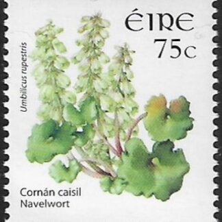 2006 Ireland SG.1681 75c  Navelwort.   U/M (MNH)