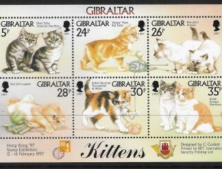 1997 Gibraltar  MS.803  Kittens mini sheet U/M (MNH)