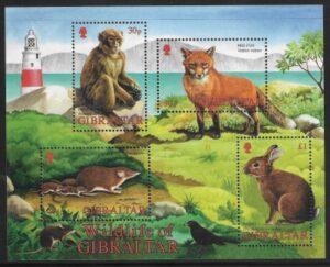 2002 Gibraltar MS.1015 Wildlife of Gibraltar. mini sheet U/M (MNH)