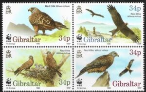 1996 Gibraltar SG.784-7 Endangered Species 'Red Kite' set 4 values. U/M (MNH)