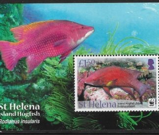 2011 St. Helena MS.1166 Endangered species -Island Hogfish. mini sheet U/M (MNH)