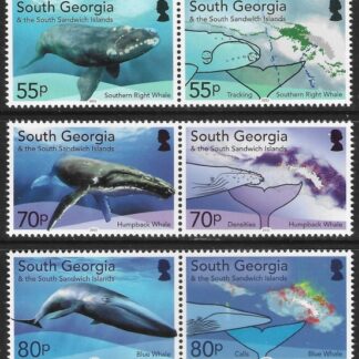 2021 South Georgia. SG.777-82  Ecosystems in Recovery - Whales set 6 values U/M (MNH)