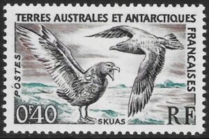 1959 French Antarctic SG.3 40c Great Skuas U/M (MNH)