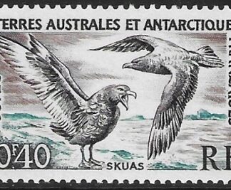 1959 French Antarctic SG.3  40c  Great Skuas U/M (MNH)