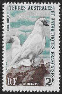 1960 French Antarctic SG.6 2F Black-Faced Sheathbills. U/M (MNH)