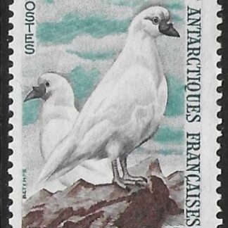 1960 French Antarctic SG.6  2F Black-Faced Sheathbills. U/M (MNH)