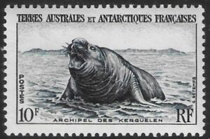 1956 French Antarctic SG.10 10F Southern Elephant Seal U/M (MNH)