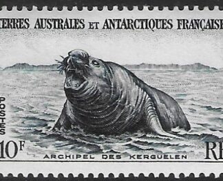 1956  French Antarctic  SG.10  10F Southern Elephant Seal  U/M (MNH)