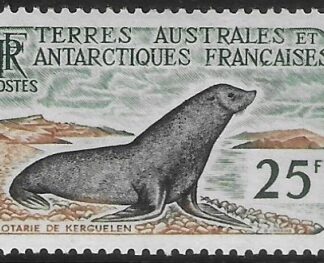 1960  French Antarctic  SG.14  25F  Kerguelen Fur Seal.  U/M (MNH)