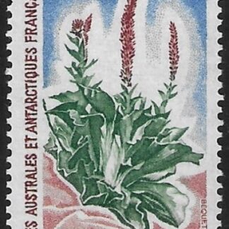 1972  French Antarctic  SG.32  45F Kerguelen Cabbage. U/M (MNH)
