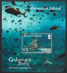 2022 Ascension Island. MS.1343 Galapagos Sharks. mini sheet U/M (MNH).