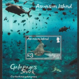 2022 Ascension Island. MS.1343  Galapagos Sharks.  mini  sheet U/M (MNH).
