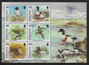 2011 Alderney MSA428 Birds Mini-Sheet U/M (MNH)