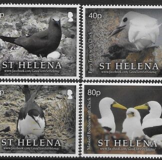 2022 St Helena  SG.1309-12 . Parenting in Seabird Colonies  set 4 values U/M (MNH)