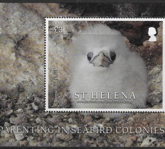 2022 St Helena  MS.1313. Parenting in Seabird Colonies. Mini Sheet. U/M (MNH)