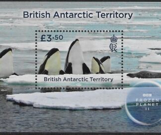 2023 British Antarctic - MS.836  Frozen Planet,  Mini Sheet U/M (MNH)