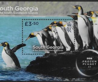 2023 South Georgia. MS.821.  Frozen Planet II.  mini sheet.  U/M (MNH)