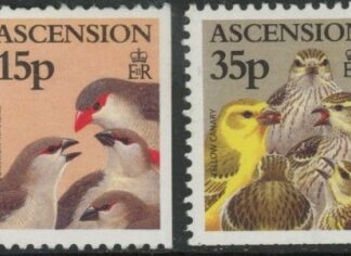 1997 Ascension Island SG.726-7 Birds and Their Young. 2 vals (ex booklet).  U/M (MNH)