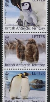 2023 British Antarctic - SG.859-63. Emperor Penguins (letter rate) set 5 vals.  U/M (MNH)