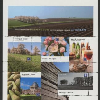 2010 Belgium MS.4335  Regions. Mini Sheet U/M (MNH)
