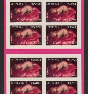 2005 France SG4112 CSB64 C'est une fille booklet U/M (MNH)