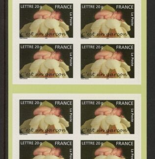 2005 SG4113 CSB65 C'est un garcon booklet U/M (MNH)