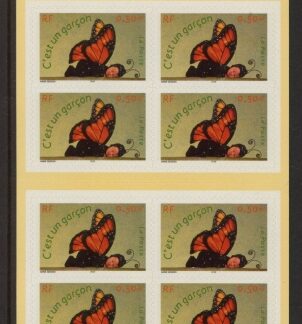 2004 France SG.3942 CSB57 C'est un Garcon Booklet  U/M (MNH)