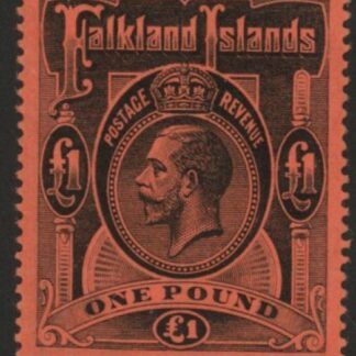 1914 Falkland Islands - SG.69  £1  black/red.U/M (MNH)