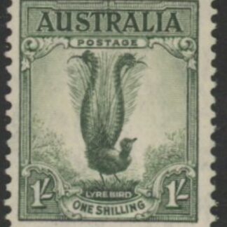 1937  Australia  SG.174  1/- grey-green. U/M  (MNH)