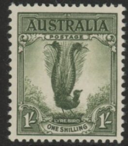1956 Australia SG.230d 1/- grey-green. U/M (MNH)