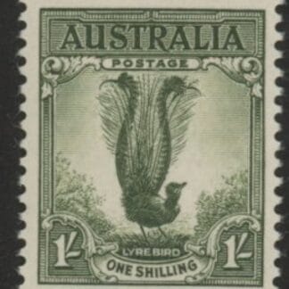 1956  Australia  SG.230d  1/- grey-green. U/M (MNH)