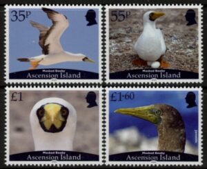 2025 Ascension SG.1375-8 masked booby. set 4 values U/M (MNH)