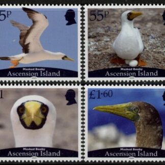 2025 Ascension SG.1375-8  masked booby. set 4 values U/M (MNH)