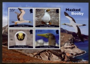 2025 Ascension MS.1379 masked booby. mini sheet. U/M (MNH)
