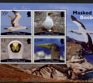 2025 Ascension MS.1379  masked booby. mini sheet. U/M (MNH)