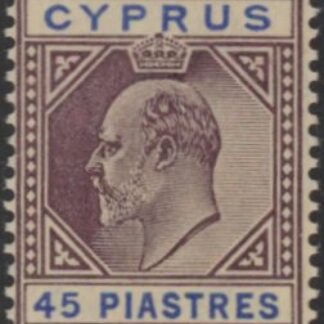 1904 Cyprus SG.71 45pi dull purple & ultramarine  U/M (MNH)