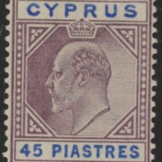 1903 Cyprus SG.59 45pi dull purple & ultramarine  M/M