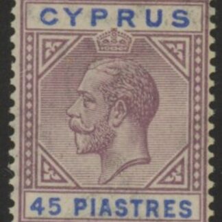 1923 Cyprus SG.99 45pi dull purple & ultramarine  U/M (MNH)