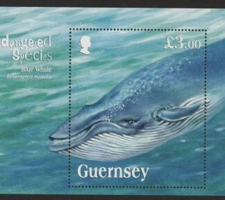 2011 Guernsey MS.1368 Blue Whale Mini Sheet U/M (MNH)